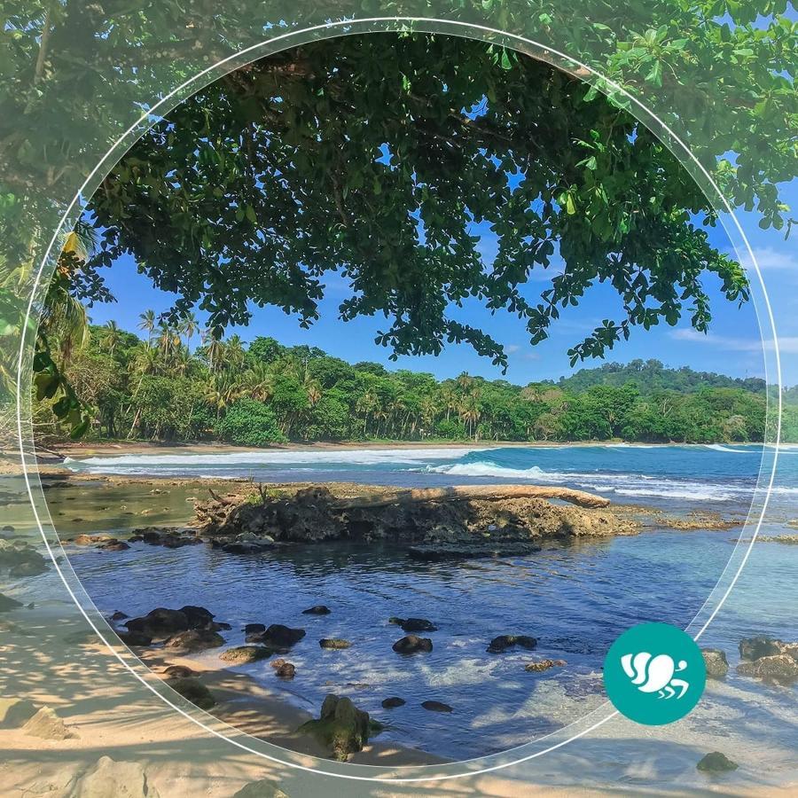 Villas Del Caribe Puerto Viejo de Talamanca Εξωτερικό φωτογραφία