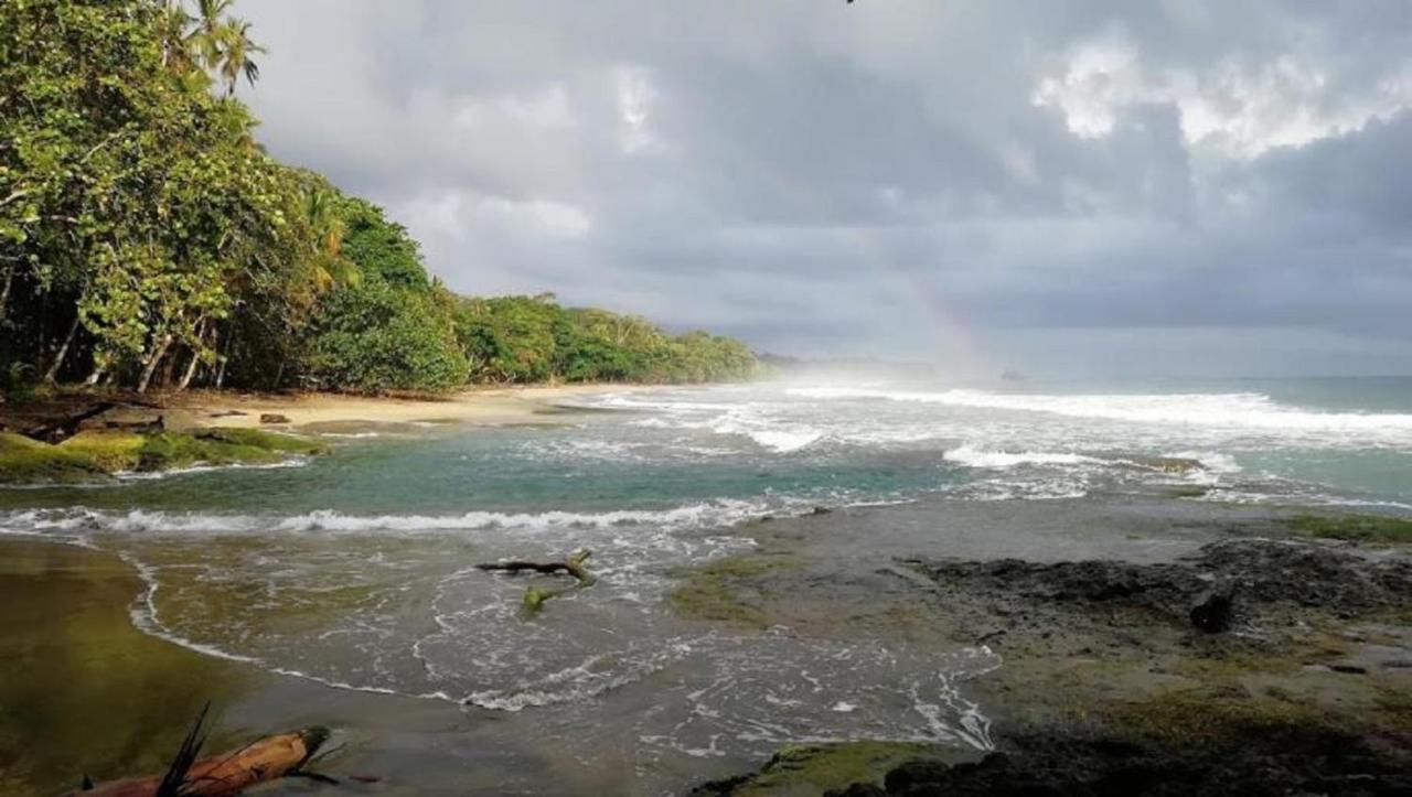 Villas Del Caribe Puerto Viejo de Talamanca Εξωτερικό φωτογραφία