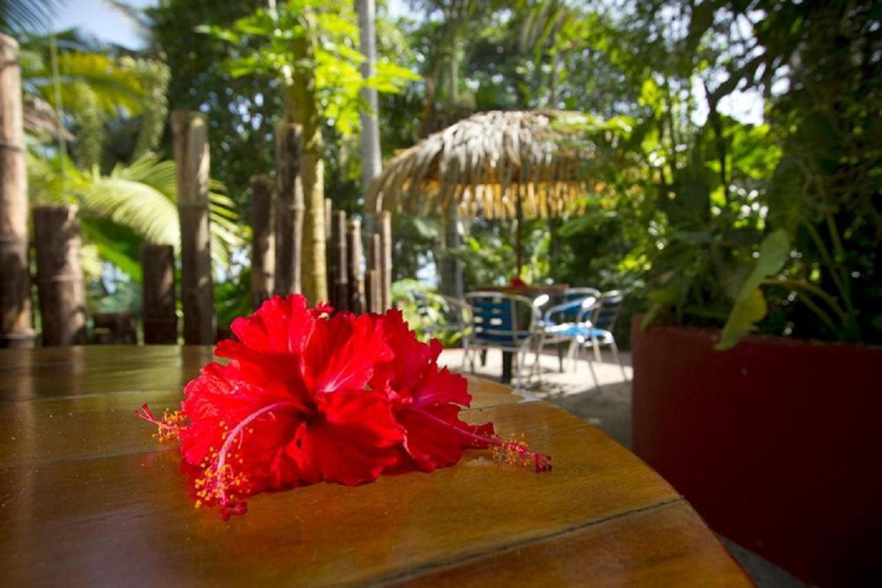 Villas Del Caribe Puerto Viejo de Talamanca Εξωτερικό φωτογραφία