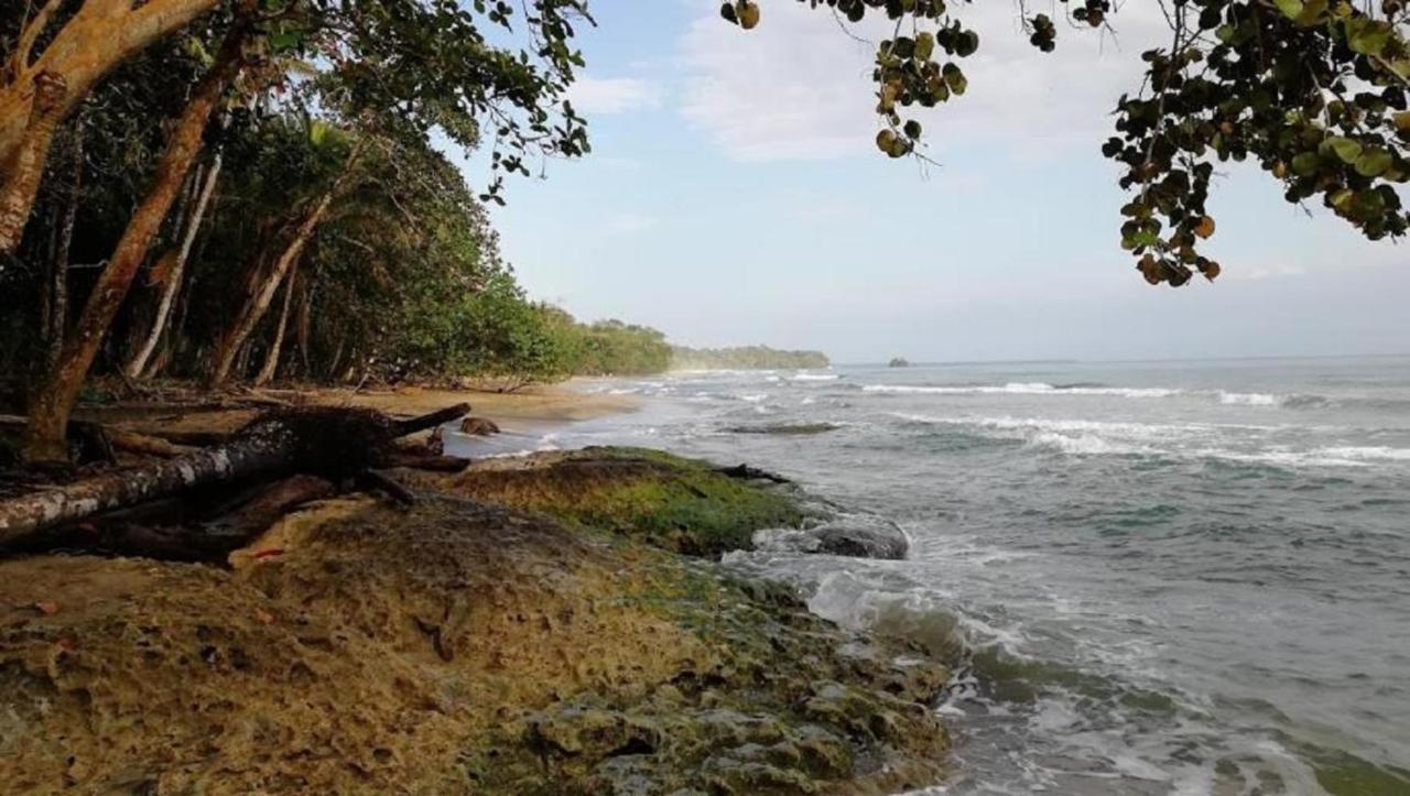 Villas Del Caribe Puerto Viejo de Talamanca Εξωτερικό φωτογραφία