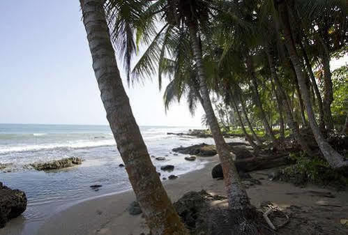 Villas Del Caribe Puerto Viejo de Talamanca Εξωτερικό φωτογραφία
